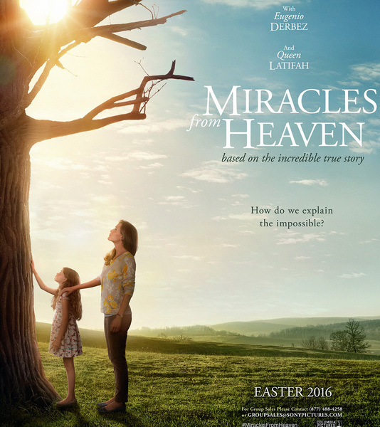 Watch I Believe In Miracles Online Free 2016